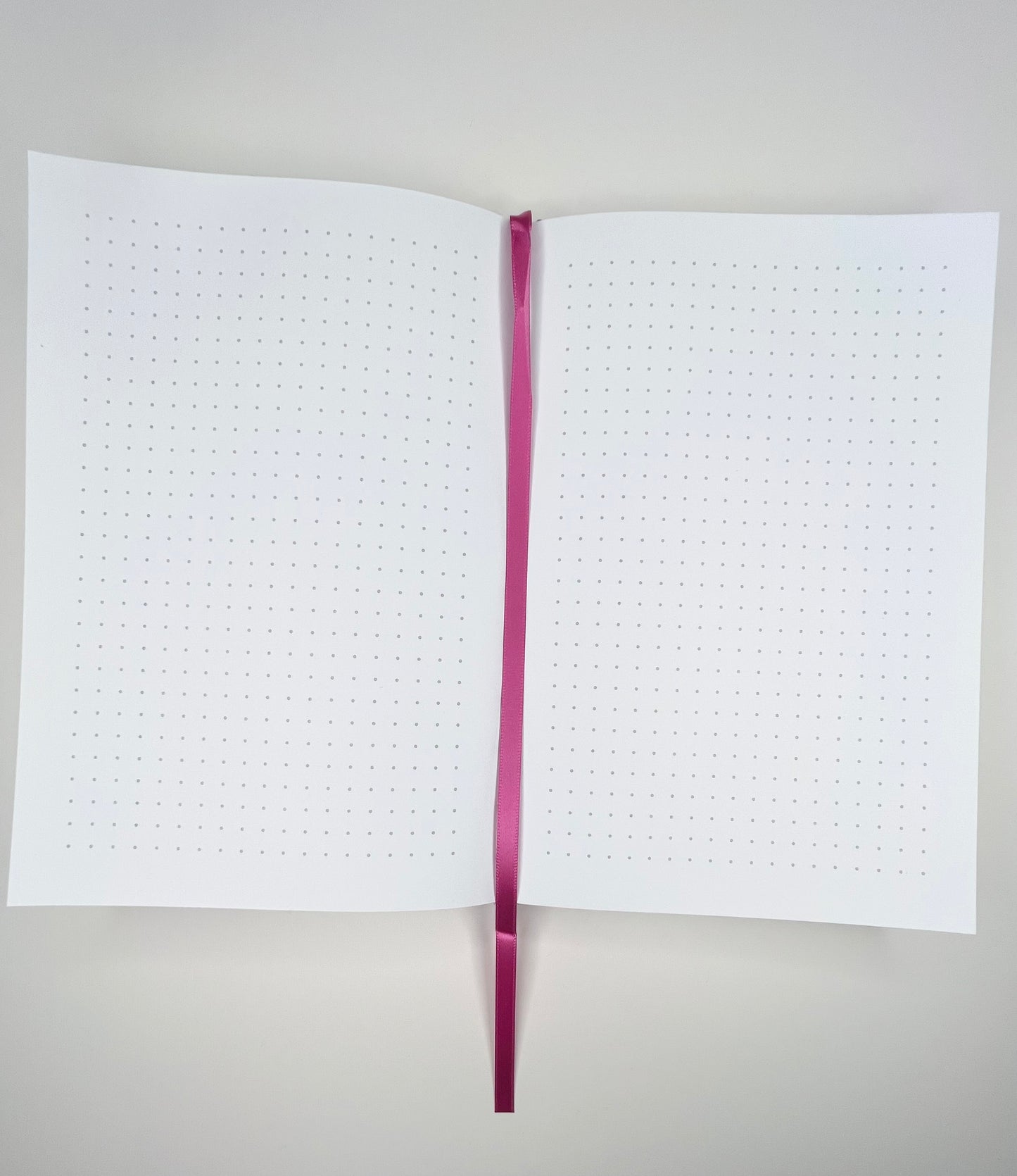 THE SHE STARTED JOURNAL